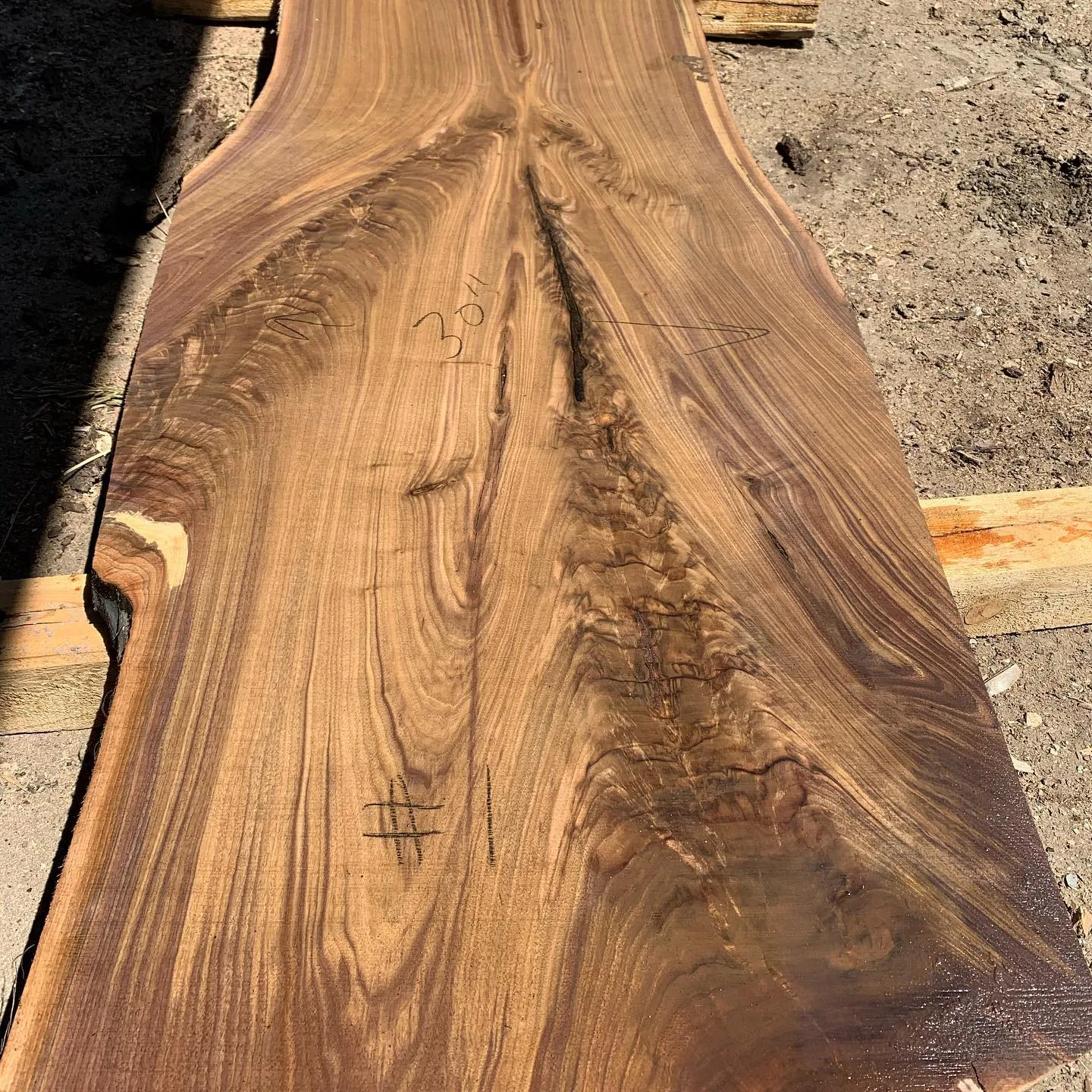 Stunning live-edge walnut slab displaying dramatic cathedral grain patterns and natural character, marked for inventory in an outdoor lumber yard.